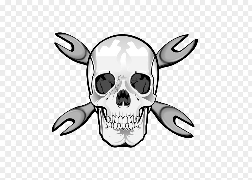 Skull Snout Map Clip Art PNG