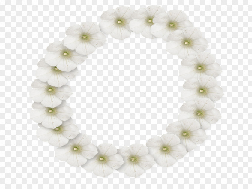 White Flower Frame Photo Picture Lei PNG