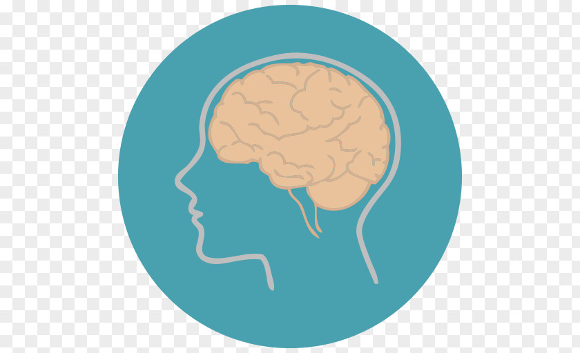 Brain Thinking Human Head PNG
