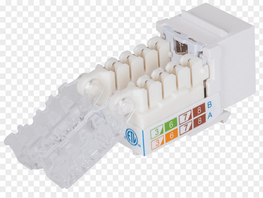 Câble Catégorie 6a Category 6 Cable Keystone Module Intellinet TIA/EIA-568 PNG