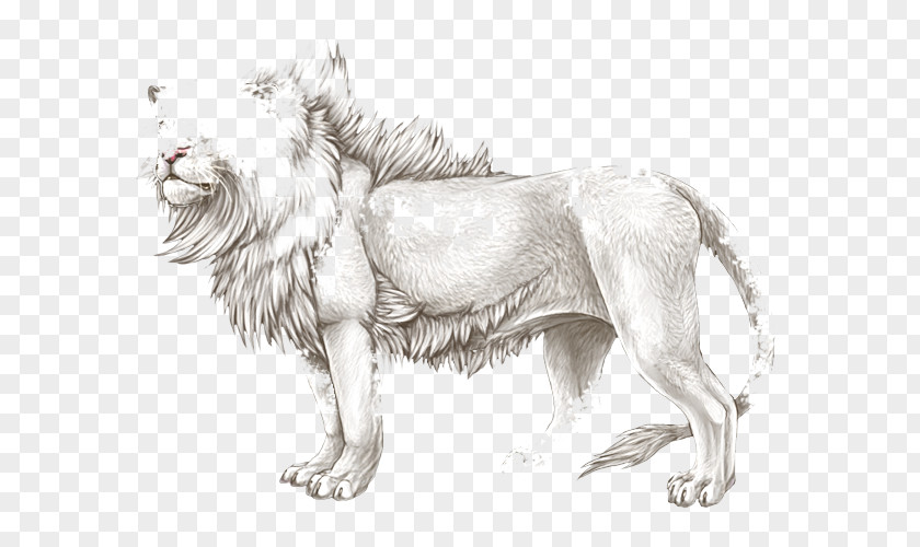 Dog Lion Cat Paw Sketch PNG