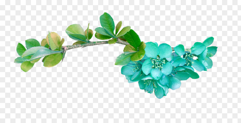 Flower Turquoise Blue Red Color PNG