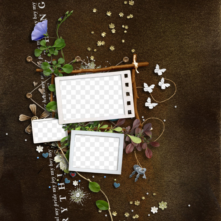 Plant Gadget Picture Frame PNG