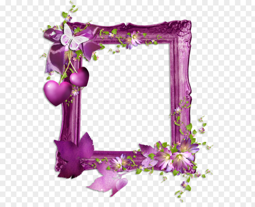 Purple Flower Frame Picture Frames Clip Art PNG