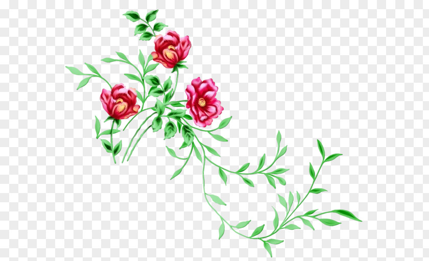 Wildflower Plant Stem Flower Flowering Pedicel Clip Art PNG