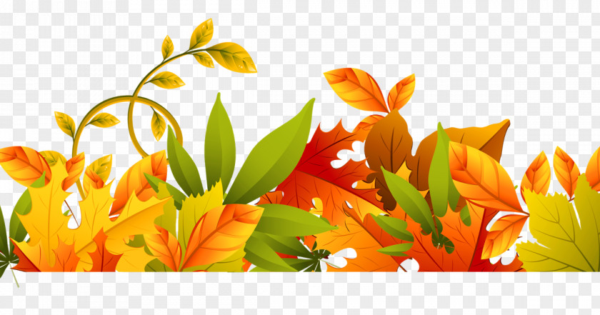 Autumn Clip Art For Fall Borders And Frames Leaf Color PNG