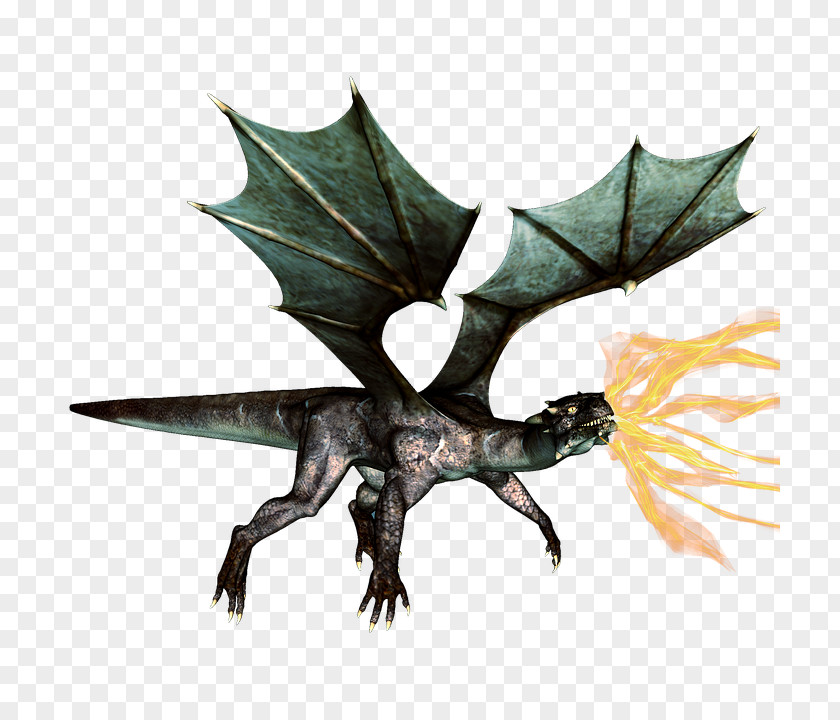 Fantasy Dragon HD European Fire Breathing PNG