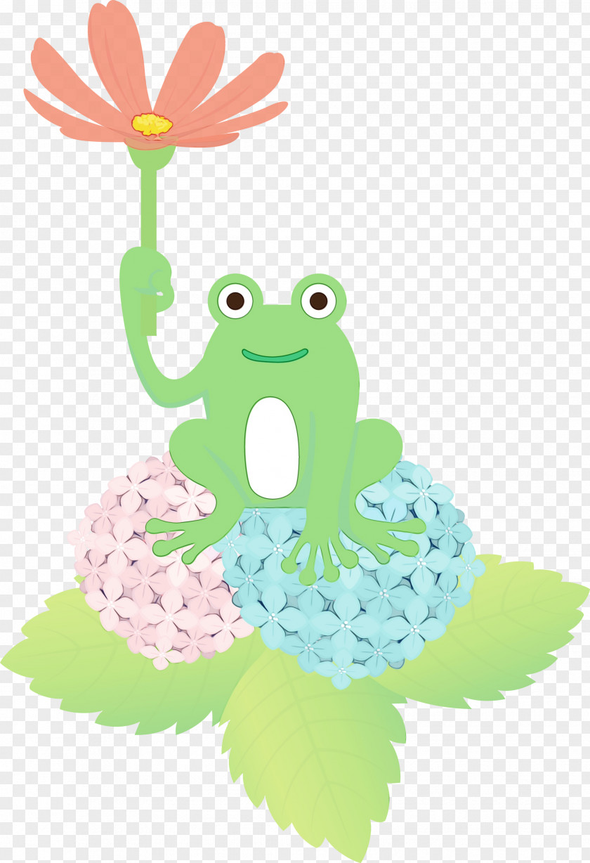Frogs Cartoon Tree Frog Green Science PNG