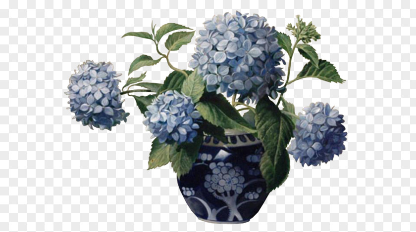 Painting Still Life Hydrangea Floral Design Painter PNG