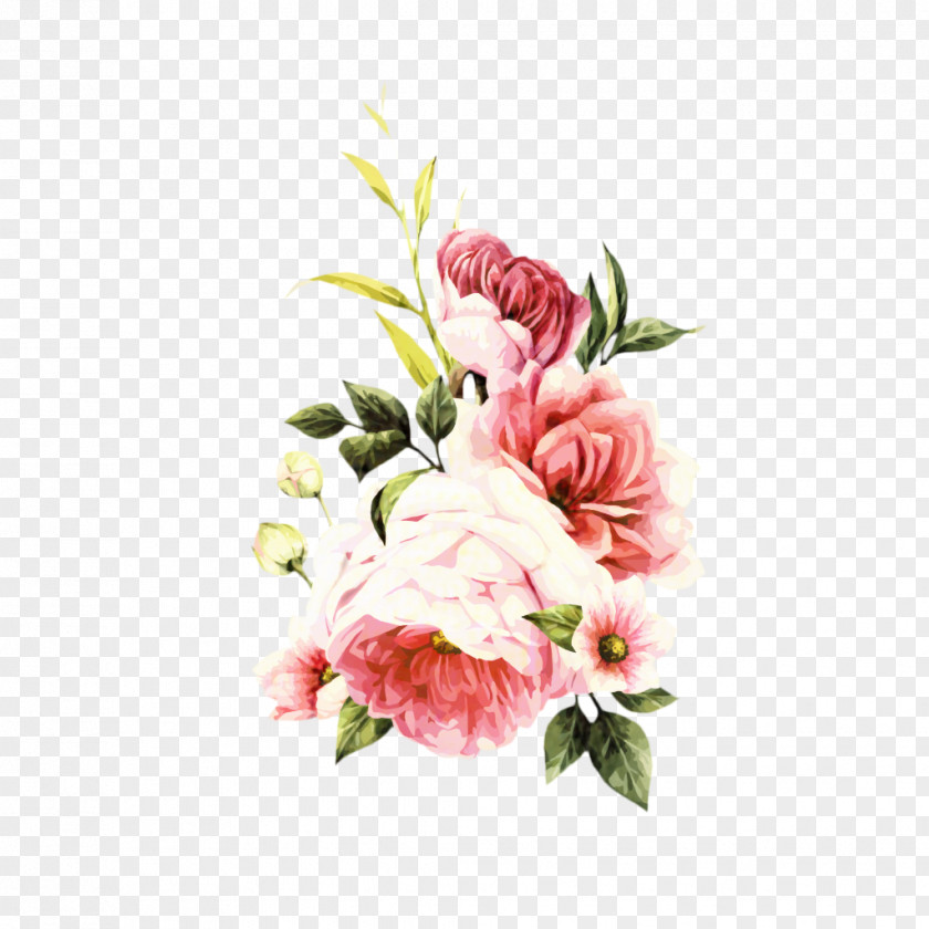 Pink Family Hydrangea Watercolor Floral Background PNG
