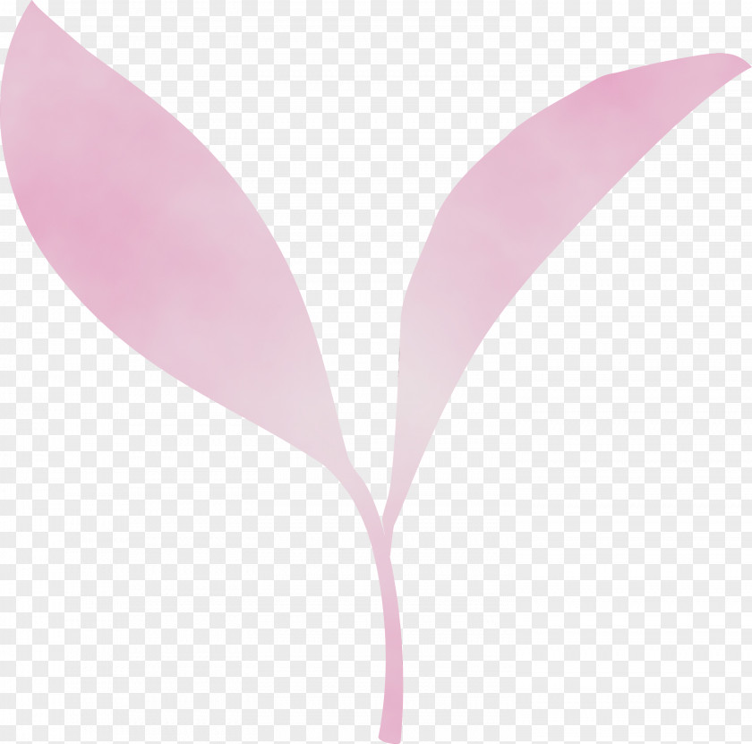 Pink Leaf Violet Plant Magenta PNG