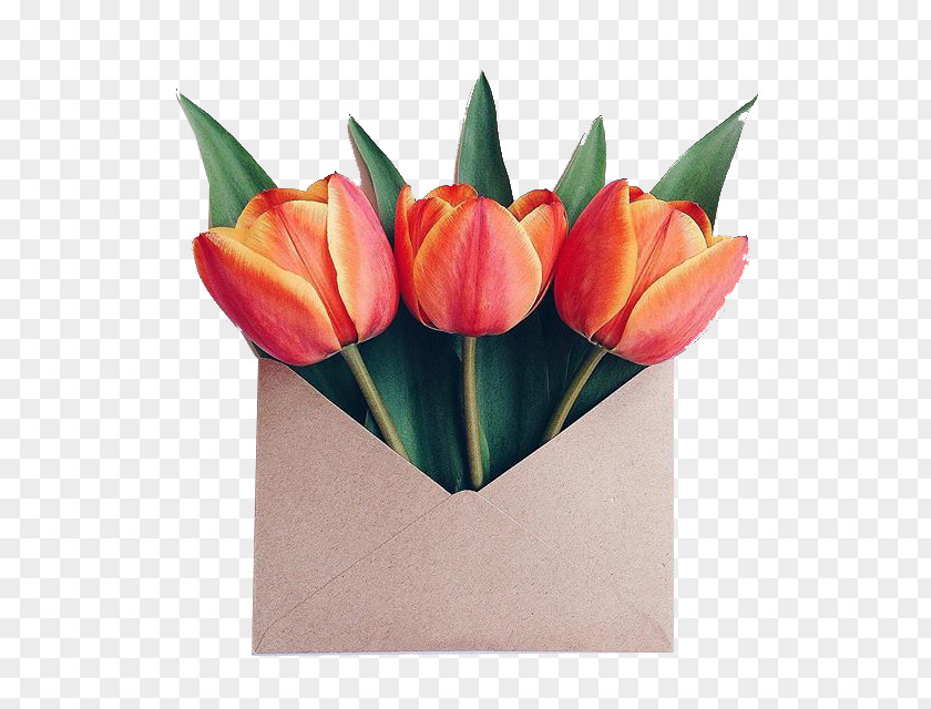 Tulip Paper Flower Bouquet Envelope Floral Design PNG