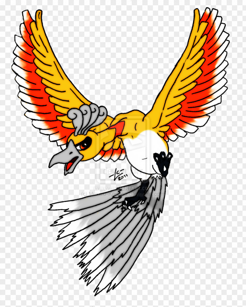 Eagle Beak Macaw Clip Art PNG