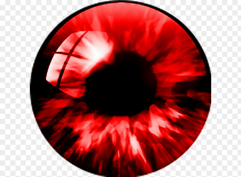 Eye Human Iris Pupil Light PNG