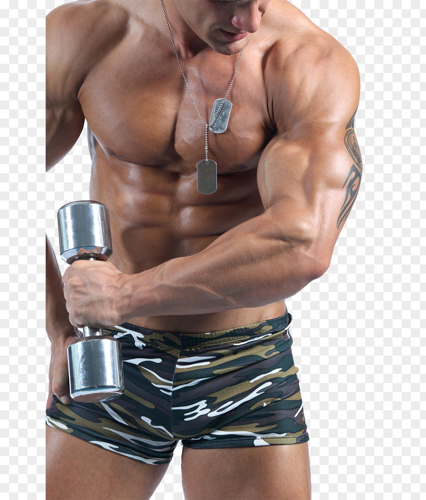 Bodybuilders Bodybuilding Physical Exercise Steroid PNG