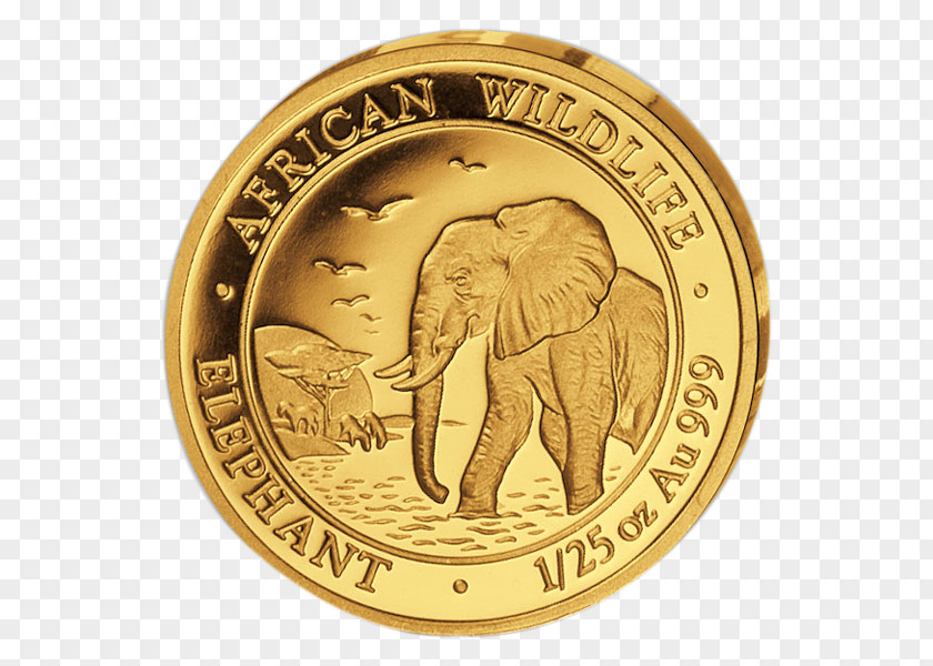 Coin Gold African Elephant Indian PNG