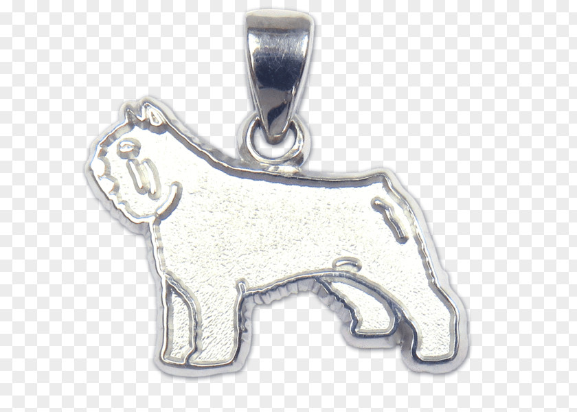 Jewellery Bouvier Des Flandres Airedale Terrier Locket Dog Breed Charms & Pendants PNG