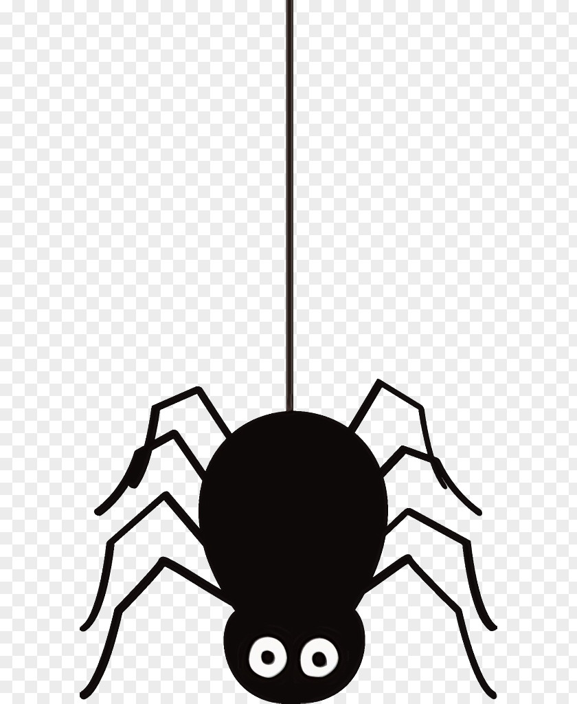 Pest Ceiling Fixture Spider Arachnid Crab PNG