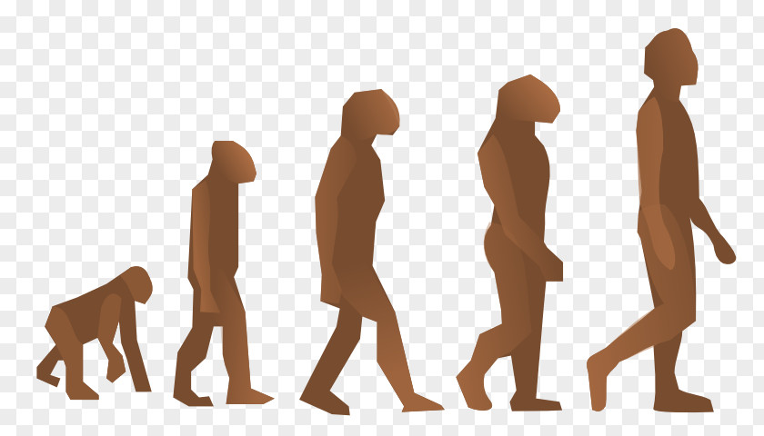 Science Human Evolution Homo Sapiens Biology Origen Del Hombre PNG