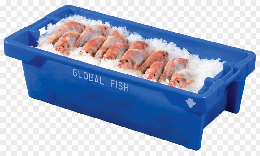 Tilapia Fish Animal Source Foods Plastic PNG
