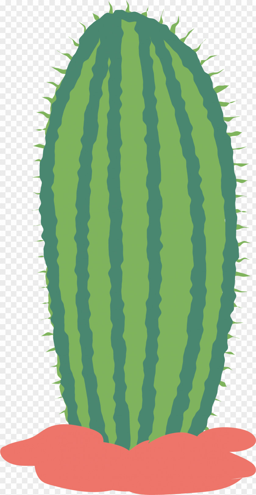 Cactus Vector Watermelon Euclidean Illustration PNG