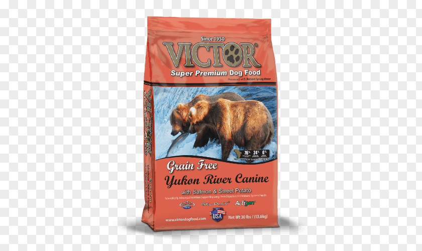 Dog Yukon River Food Cat Puppy PNG