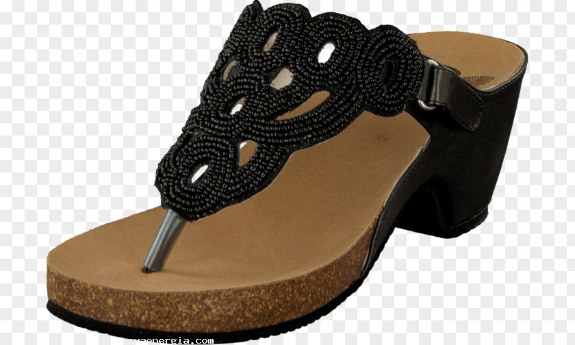 Sandal Shoe Slipper Clog Dr. Scholl's PNG