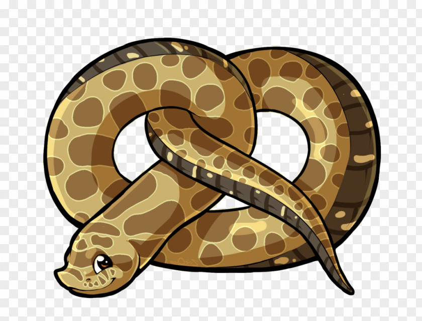 Snake Boa Constrictor Hognose Rattlesnake Vipers PNG