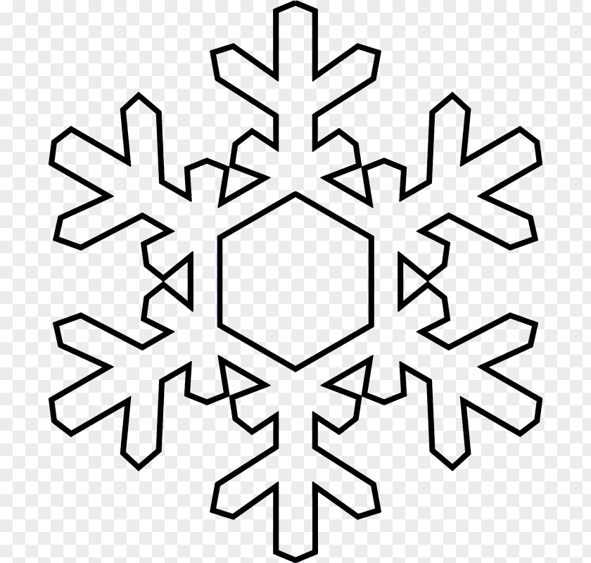 Snow Flake Snowflake Clip Art PNG