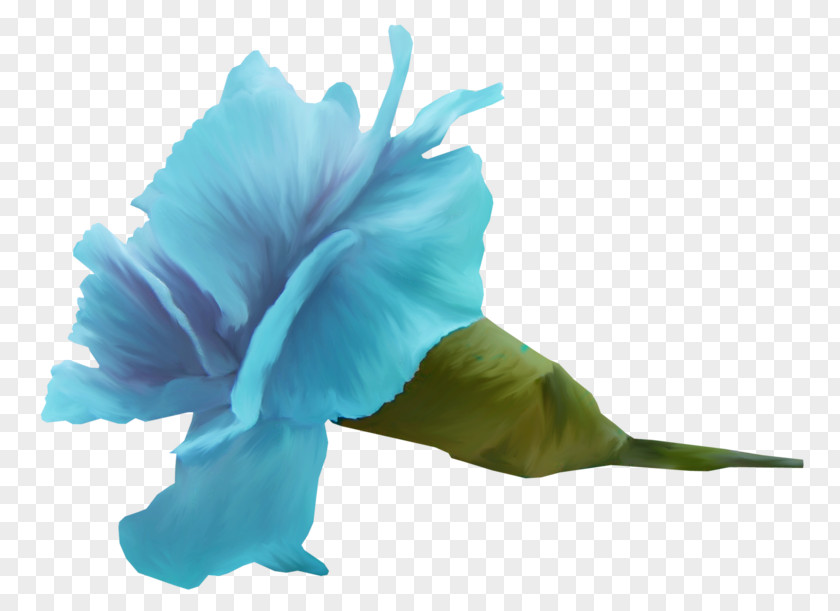 Flower Blue Cut Flowers Petal Color PNG