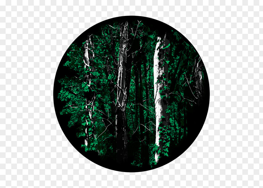 Forest Gobo Glass PNG