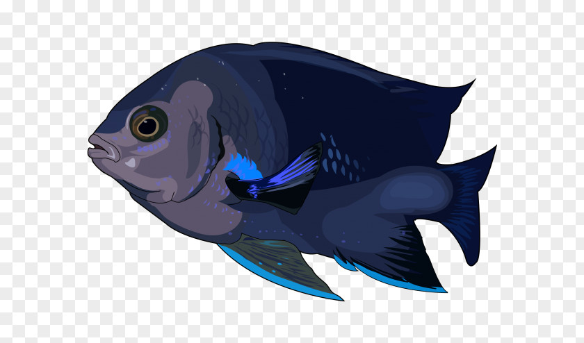 Fula Vector Marine Biology Mammal Fin Cobalt Blue PNG