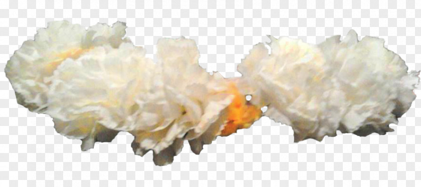 Head Band Crown Wreath Flower White PNG