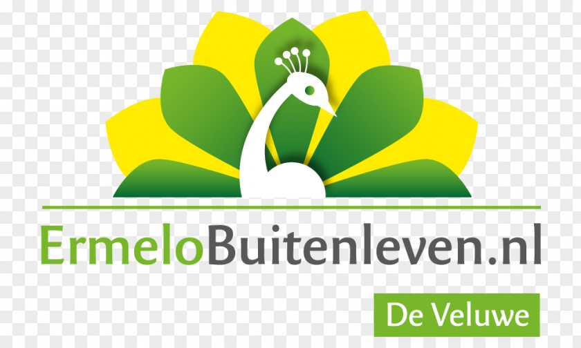 Logo VVV Ermelo Product Font Design PNG