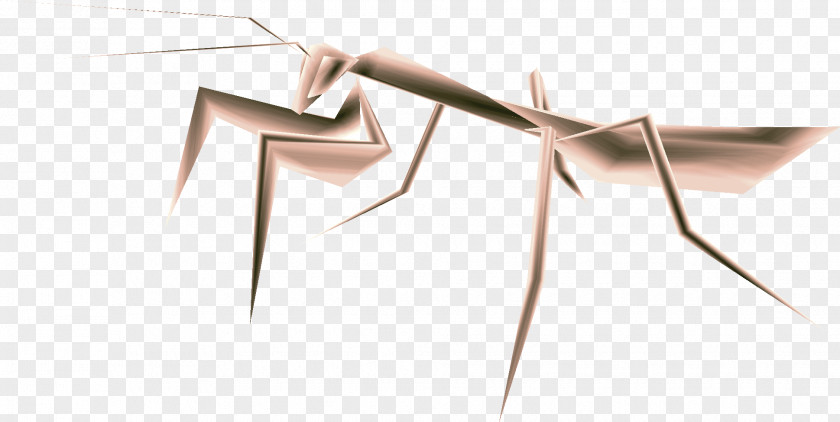 Models Insect Line Angle Wood PNG