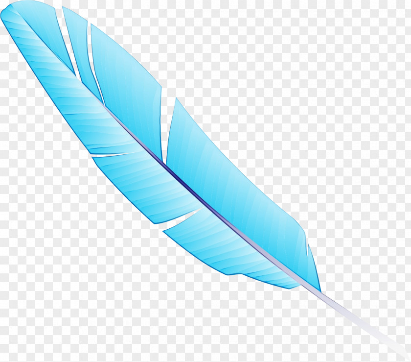 Natural Material Writing Implement Feather PNG