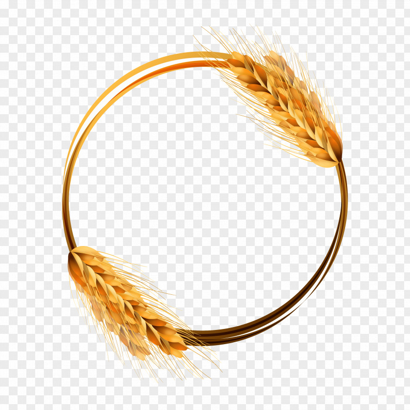 Golden Wheat Ring Vector Material Pictures Beer Common Ear Crop PNG