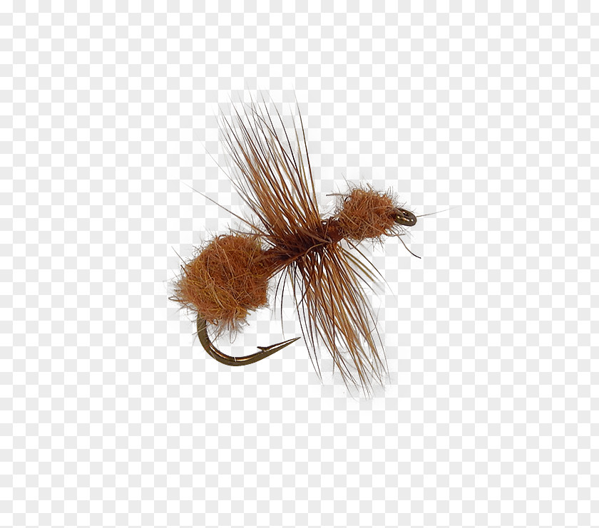 Artificial Fly Fishing Ant Insect PNG