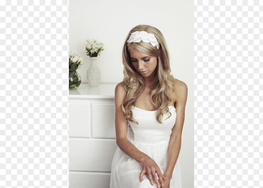 Bride Headpiece Wedding Dress Veil PNG
