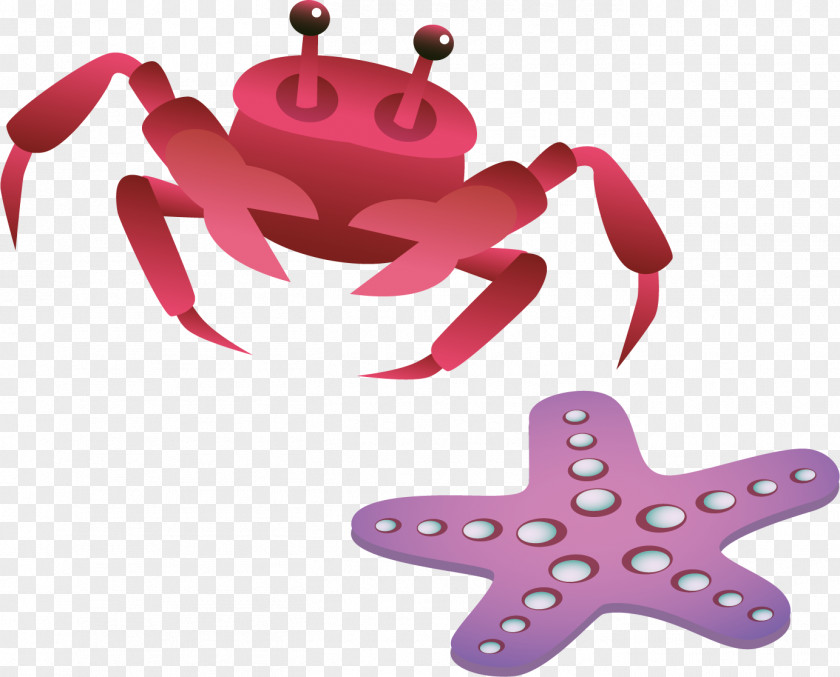 Crab Starfish Vector Material Illustration PNG