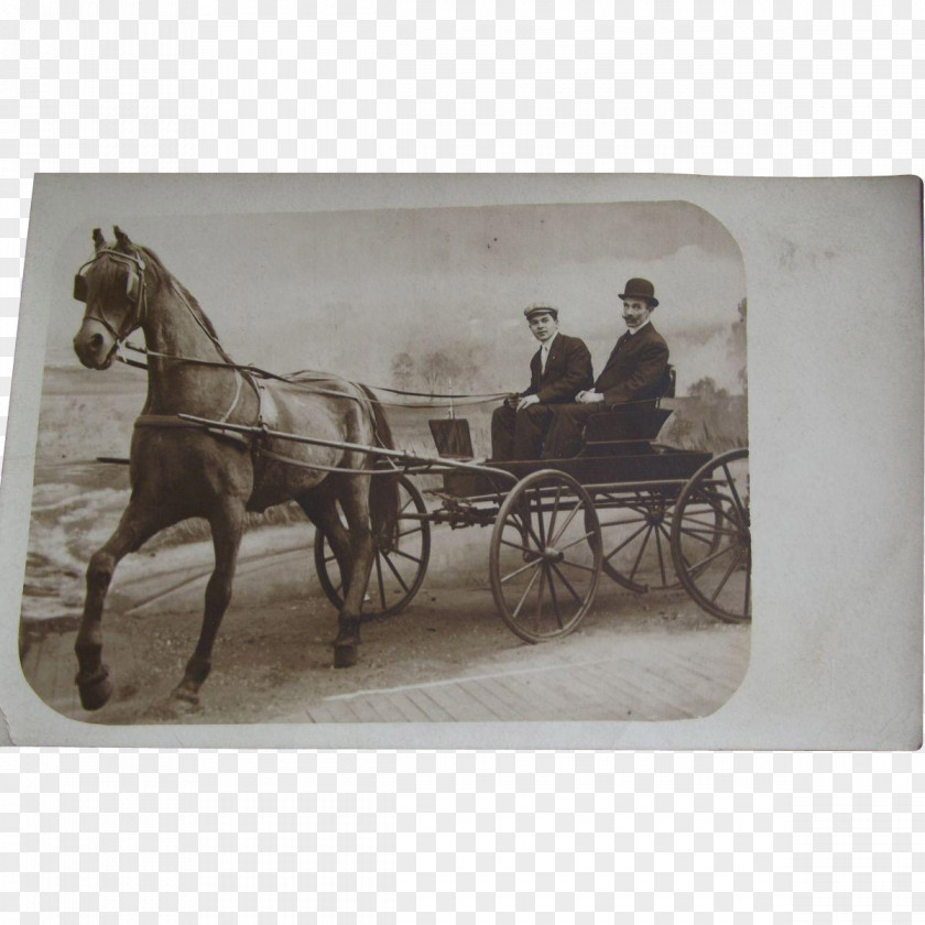 Horse And Buggy Harnesses Coachman Rein PNG