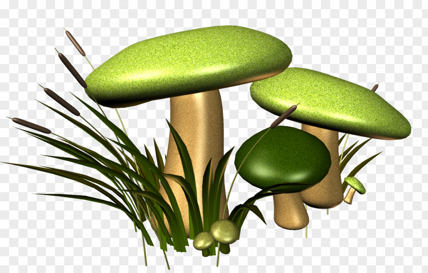 Mushroom Fungus Euclidean Vector Gratis PNG