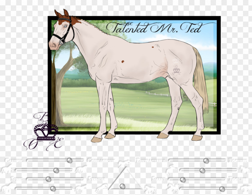 Talented Mane Mustang Foal Stallion Colt PNG