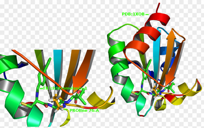 Thioredoxin Enzyme Glycolysis Antioxidant PNG