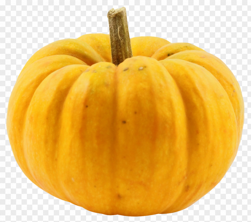 Pumpkin Calabaza Cucurbita PNG