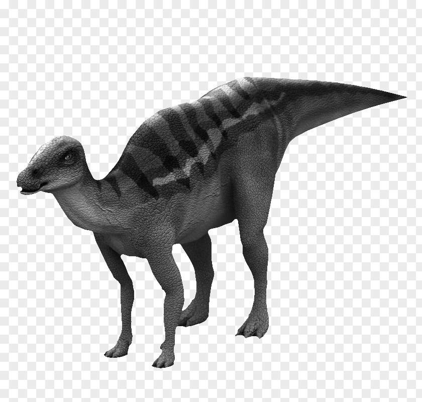 Velociraptor Tyrannosaurus Maiasaura 3D Dinosaur VRGray Sim PNG