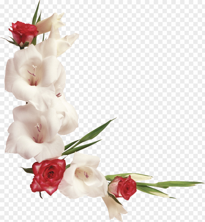White Roses Flower Clip Art PNG