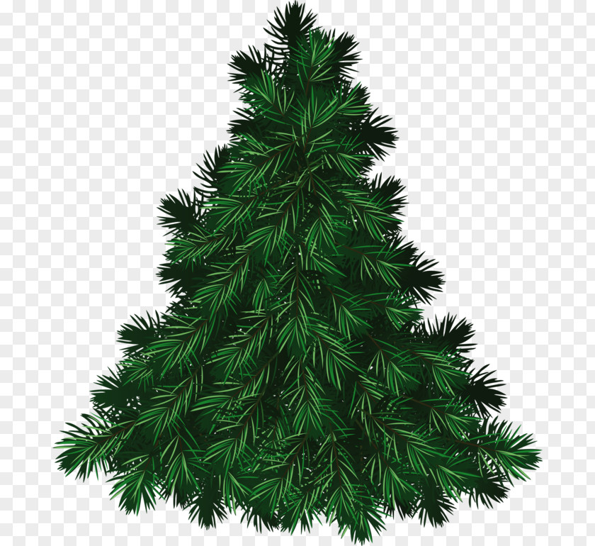 Christmas Tree Fir Clip Art Day Pine PNG