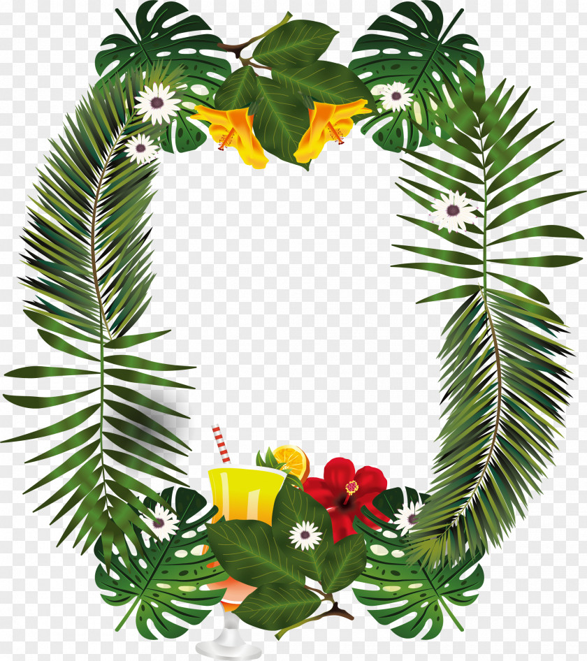 Palm Leaves Decorated Borders Leaf Branch PNG