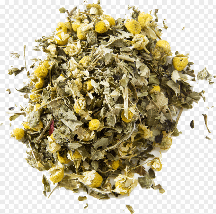 Tea Oolong Green Masala Chai Flowering PNG